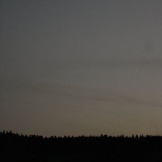 Une photographie d'une ligne de crête arborée au crépuscule