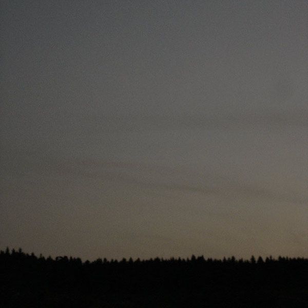 Une photographie d'une ligne de crête arborée au crépuscule